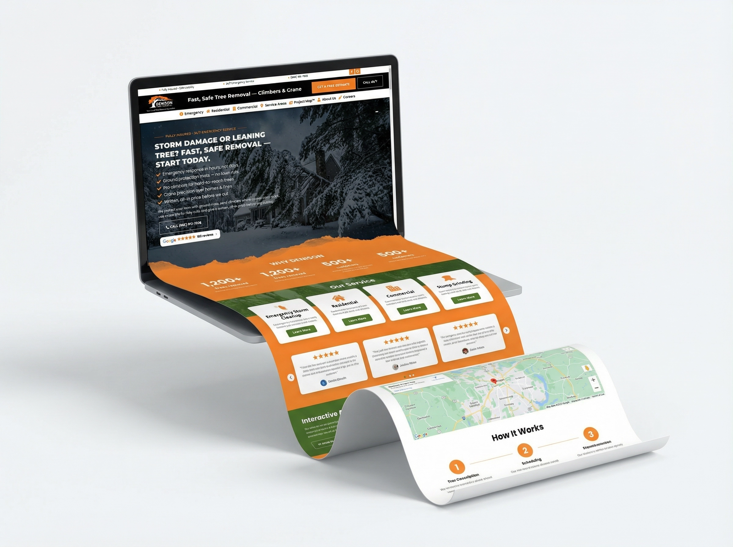 Denison Tree Removal