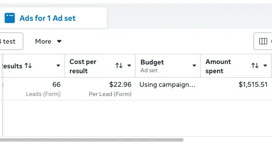 Facebook ad cost per lead result for a tree service