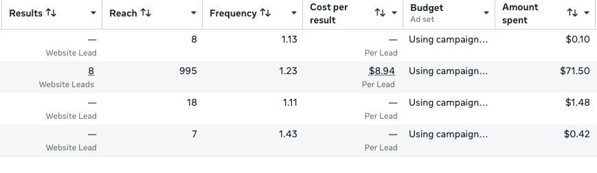 Facebook lead campaign results, one day of spend