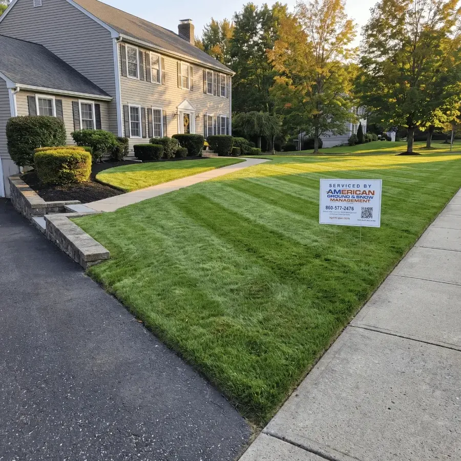 Same front lawn after American Ground & Snow lawn care, with their yard sign