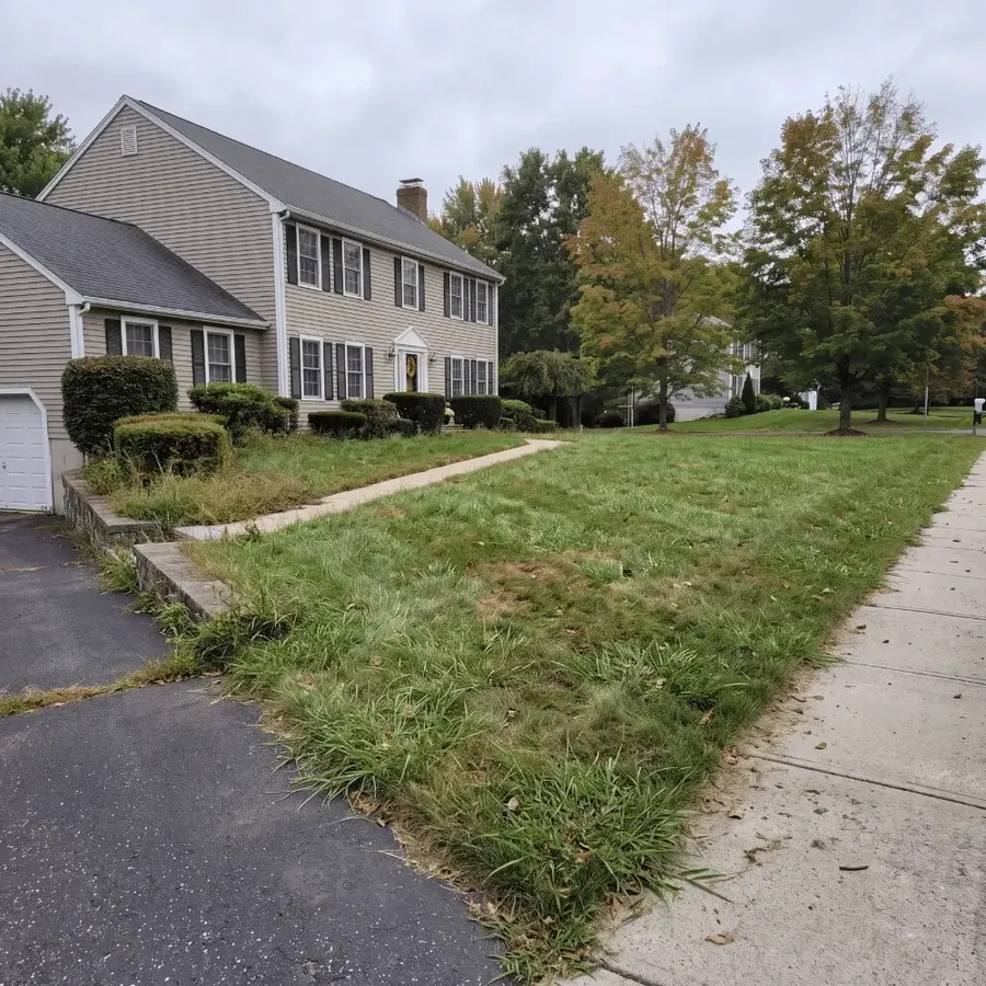 Front lawn before American Ground & Snow lawn care
